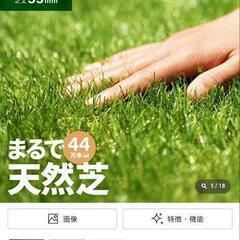 人工芝ペグ有りの画像