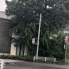 薪などにの画像