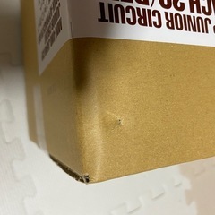 バンクアプローチ　ミニ四駆の画像