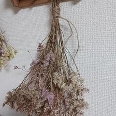 ドライフラワー　色々　まとめの画像