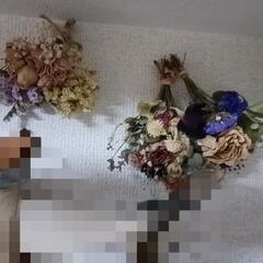 ドライフラワー　色々　まとめの画像