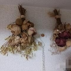 ドライフラワー　色々　まとめの画像