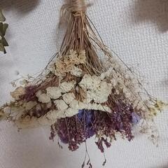 ドライフラワー　色々　まとめの画像