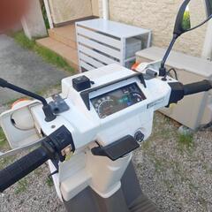 HONDA ジャイロX現行型 TD02 自賠責５年付きの画像