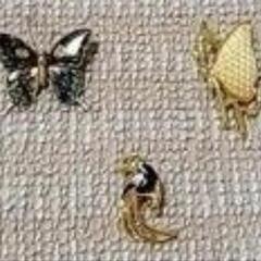 アンティークブローチ10点セットの画像