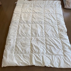 【7/31午前中受け取り可能な方限定】掛け布団2つの画像