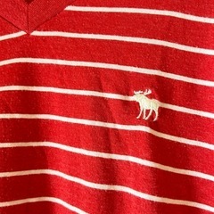 Abercrombie & Fitch Tシャツ Sの画像