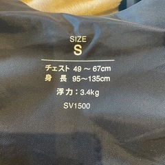 子供　ライフジャケットの画像