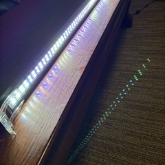 120×45×45水槽の画像