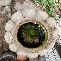 石置物の画像