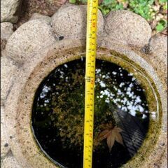 石置物の画像