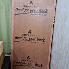 軽い　健康畳マット1畳(中古)如何ですか?8月3日までの画像