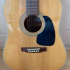 Takamine ギター　T3N 　の画像