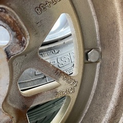 スターシャークの画像