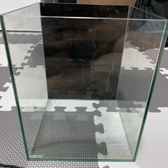GEXガラス水槽の画像