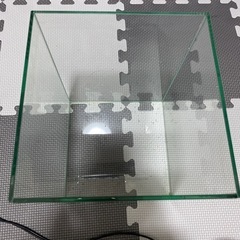 GEXガラス水槽の画像