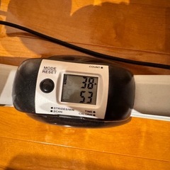 サイドステッパー　の画像