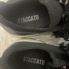 STACCATOのスパンコールスニーカーです☺️の画像
