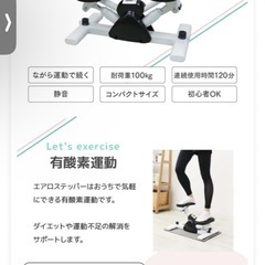 サイドステッパー　の画像
