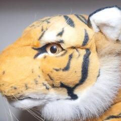 【相談中です】トラ 大きいぬいぐるみの画像