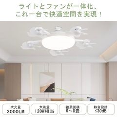 【新品未開封】2025年最新 ドローン風デザイン シーリングファンライト 5枚羽根ファン付き照明 省エネ80W E26口金 6000lm 無段階調光 3色切替 3段階風量 2/4時間タイマー DCモーター 静音 空気循環 8〜10畳対応 リモコン＆角型引掛けシーリング付き 簡単取付の画像