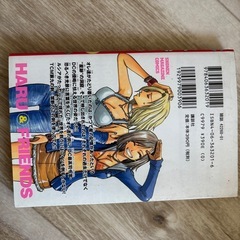 RAVE（レイヴ） 第20巻／真島ヒロ（講談社コミックス）の画像