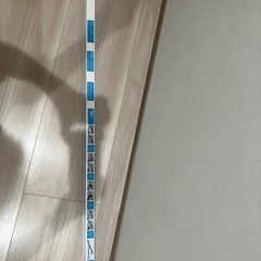 LED10本入りの画像