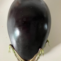 米ナスの画像