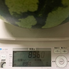 大玉スイカ8､96kgの画像