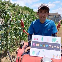 🌱夏の農業ボランティア募集！🌞何名でも！