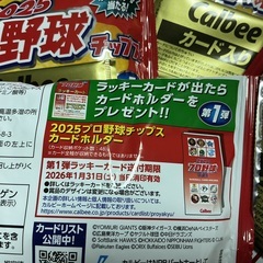 カルビー2025 プロ野球チップスの画像