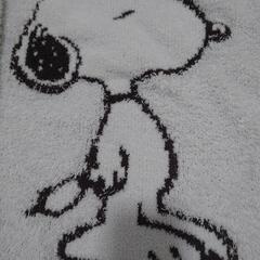 ジェラートピケ　SNOOPY　コラボ　ルームウェアの画像