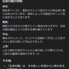 8/10まで 忘却の翼メダカ  稚魚～若魚 ♂♀各2匹の画像