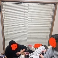 ニトリ ブラインド の画像