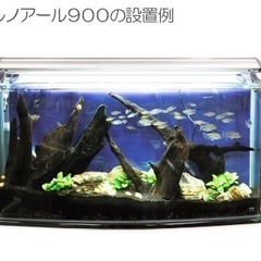 【アクアリウム水槽】90センチの画像