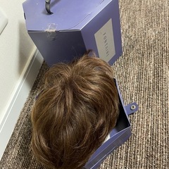 ウィッグ①の画像