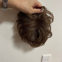 ウィッグ②の画像