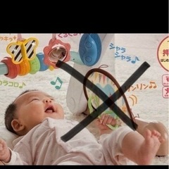 People うちの赤ちゃん世界一 スマート知育 ジム&ウォーカーの画像