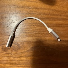 未使用iPhone 純正EarPods (3.5mmﾍｯﾄﾞﾌｫﾝﾌﾟﾗｸﾞ)と変換ｱﾀﾞﾌﾟﾀlightningｹｰﾌﾞﾙの画像