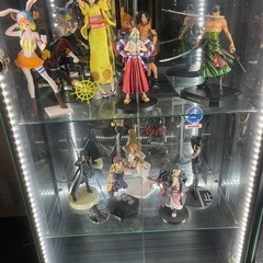 Sara    コレクションケース(フィギュア付き)の画像