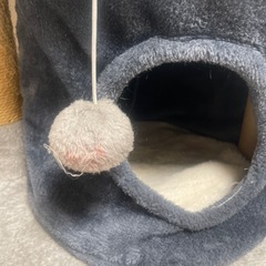 キャットタワーの画像