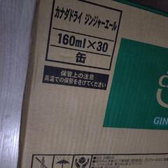 コカ・コーラ　ジンジャエール　160ml 30缶 2箱セットの画像