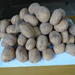 2025年産新鮮土付きじゃが芋「十勝こがね」の画像