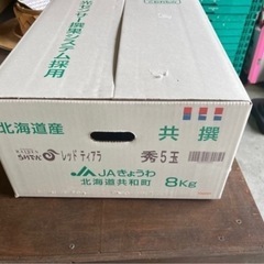 秀品らいでんメロン2玉（化粧箱箱なし価格）の画像
