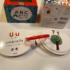 はらぺこあおむし　ABC&123カード　知育　英語
の画像