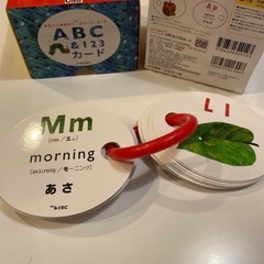 はらぺこあおむし　ABC&123カード　知育　英語
の画像