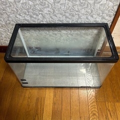 60センチ水槽の画像