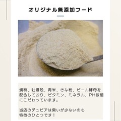 デュビアS 300匹の画像