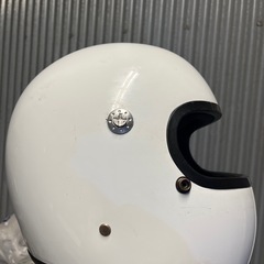 族ヘル シールドなしの画像