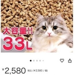 猫 システムトイレの画像